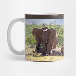 Elephants with babies. Mug